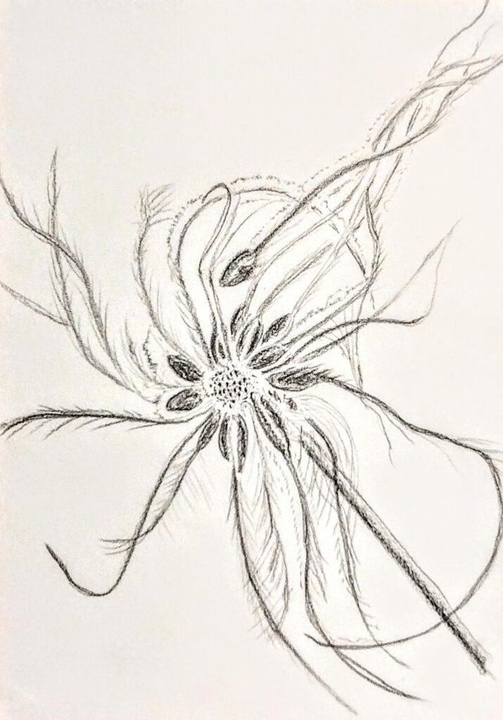 Dette billede har en tom ALT-egenskab (billedbeskrivelse). Filnavnet er SkitseKobjaelde-715x1024.jpg